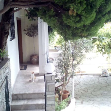 Kavala Apartment Εξωτερικό φωτογραφία