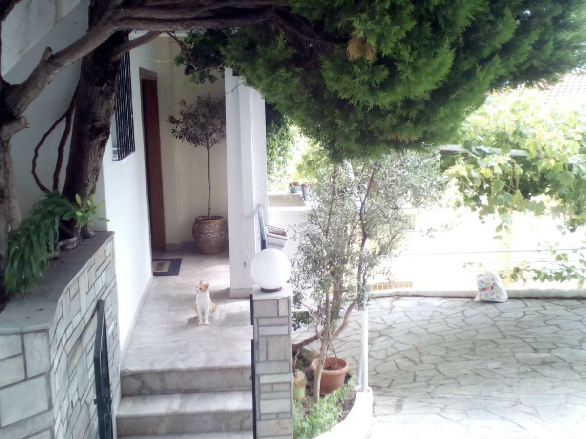 Kavala Apartment Εξωτερικό φωτογραφία